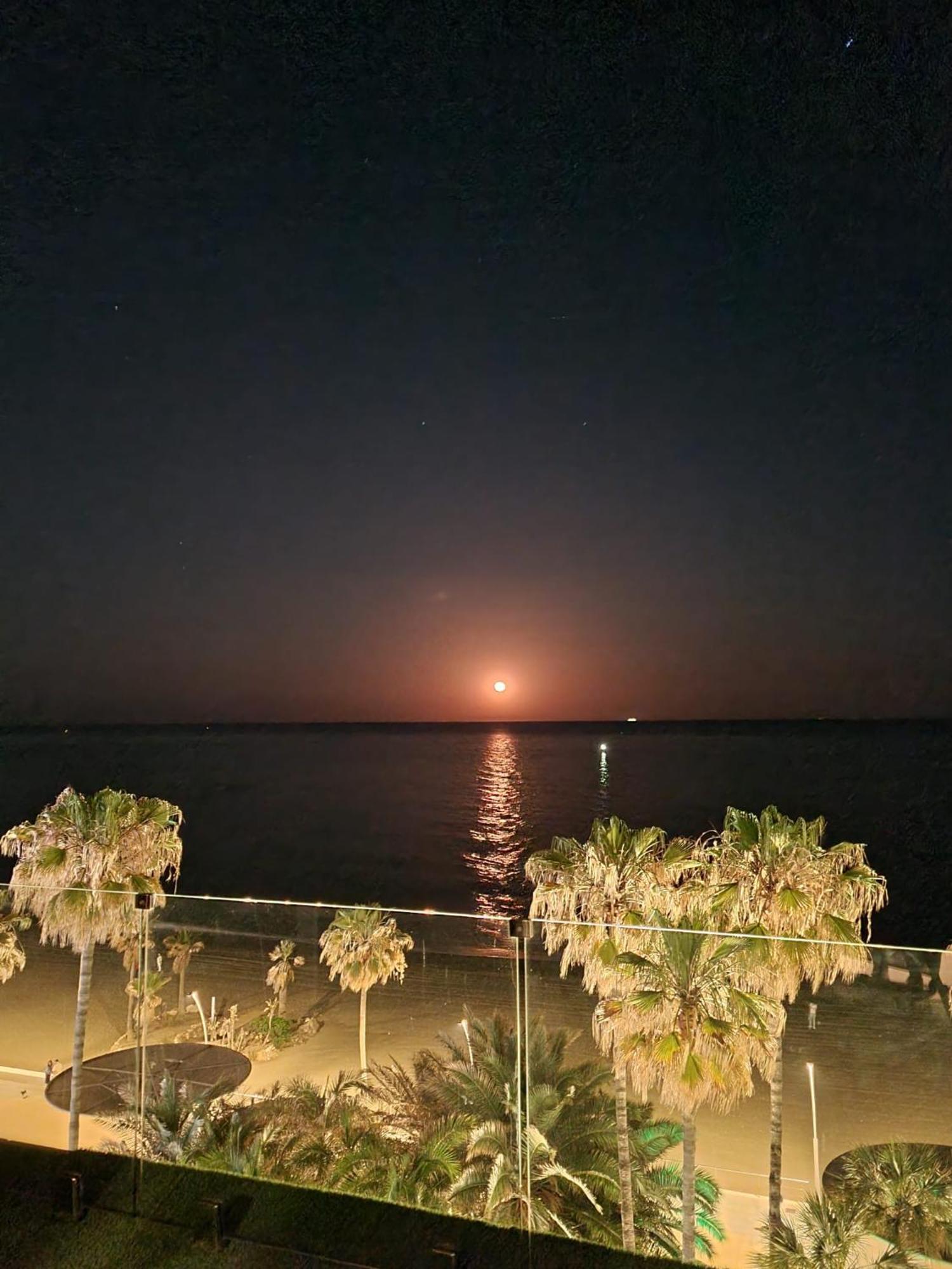 Sunnypalms - Beachfront Penthouse With Stunning Sea View Estepona Extérieur photo
